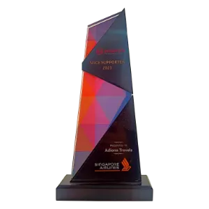 A faceted crystal trophy presented to Adiona Travels