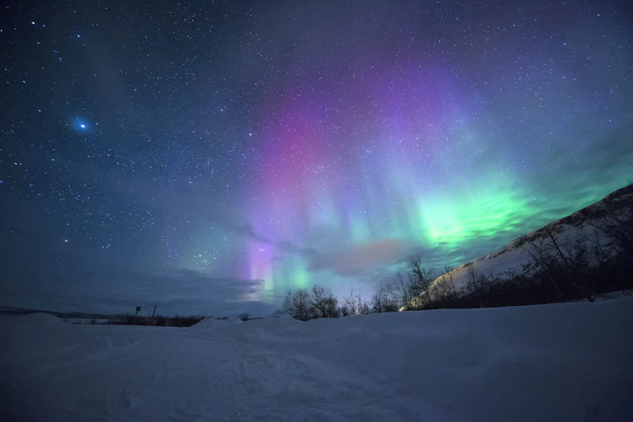 Northern lights over a snowy Nordic landscape